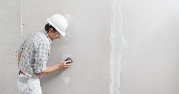 Reliable Strafford, MO Mold Removal Solutions